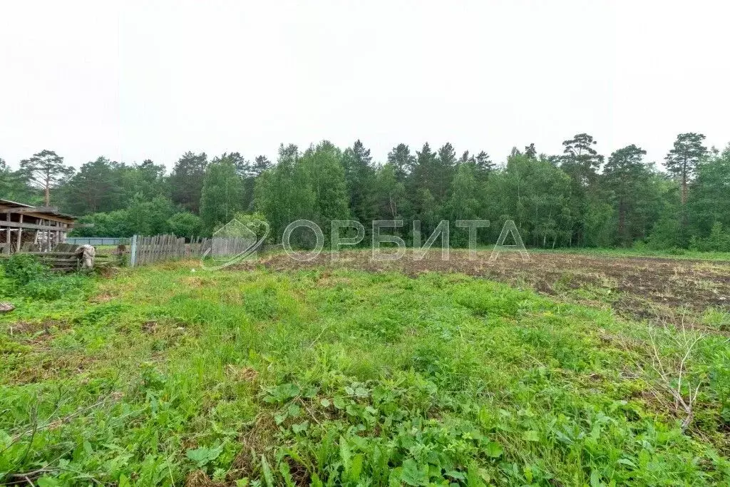 Дом в Тюменская область, Нижнетавдинский район, с. Бухтал Лесная ул., ... - Фото 0