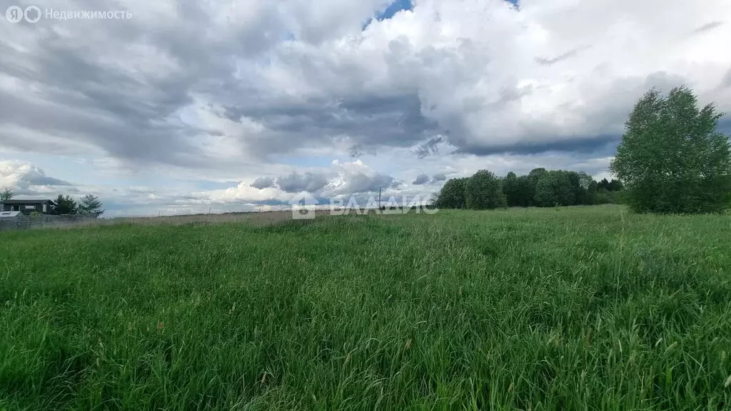Участок в Вологодская область, Грязовецкий муниципальный округ, ... - Фото 0