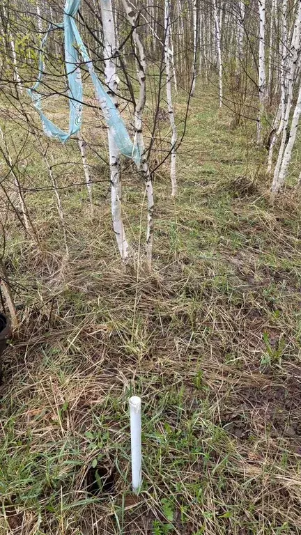 Участок 10 сот. (ИЖС) - Фото 1