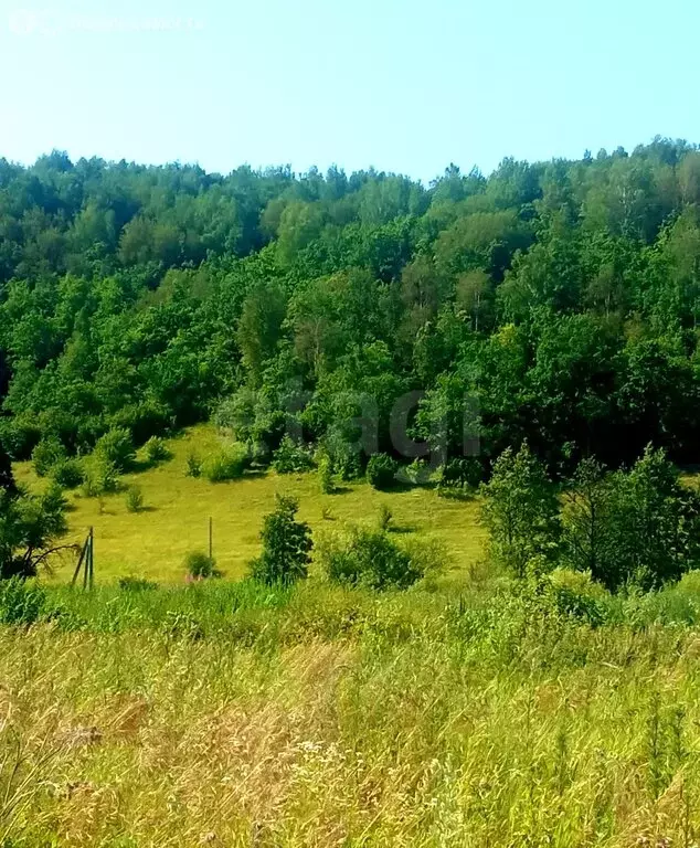 Участок в Кочкуровский район, село Новая Пырма (10 м) - Фото 1