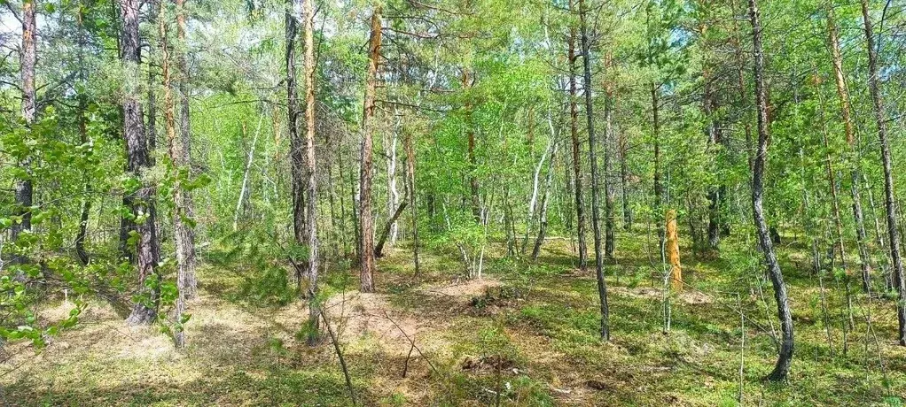 Участок в Саха (Якутия), Якутск городской округ, с. Маган  (6.0 сот.) - Фото 2