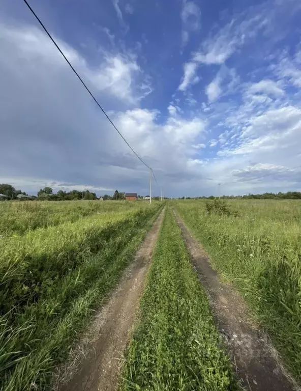 Участок в Ярославская область, Некрасовский муниципальный округ, ... - Фото 1