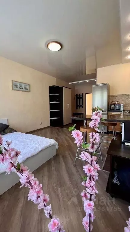 Студия Краснодарский край, Сочи Восточная ул., 8В (29.0 м) - Фото 1