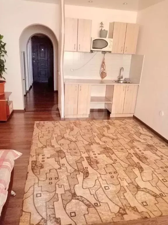 Студия Амурская область, Благовещенск Игнатьевское ш., 14/10 (30.7 м) - Фото 2