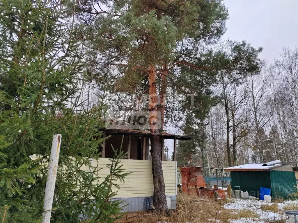 Участок в Московская область, Шатура городской округ, пос. Тархановка  ... - Фото 0