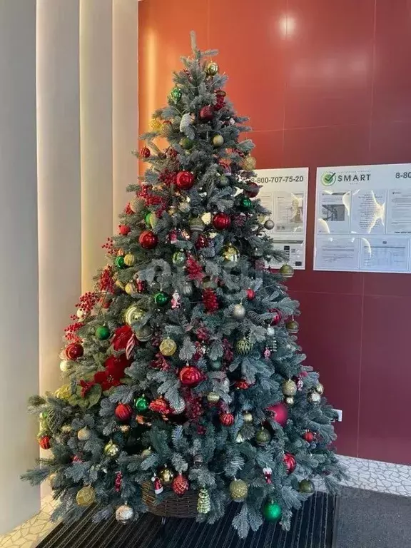 1-к кв. Москва Ореховый бул., 24к2 (42.6 м) - Фото 2