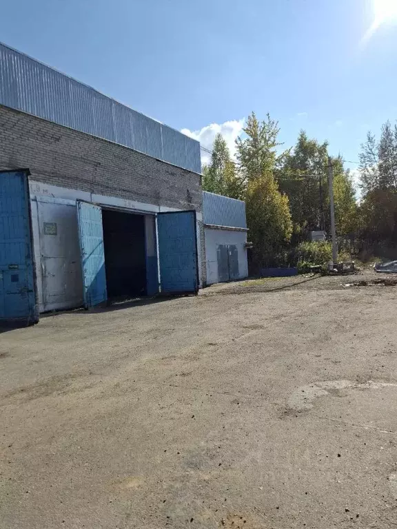 Помещение свободного назначения в Пермский край, Губаха ул. Суворова, ... - Фото 2