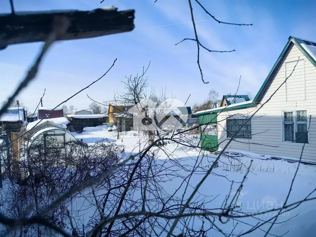 Участок в Новосибирская область, Новосибирск Лилия СНТ, ул. Камышенок, ... - Фото 0
