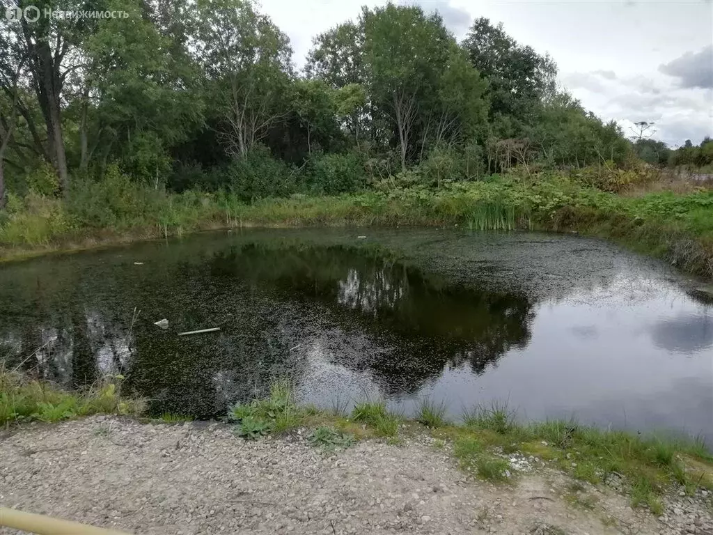 Участок в Кингисеппский район (46 м) - Фото 1