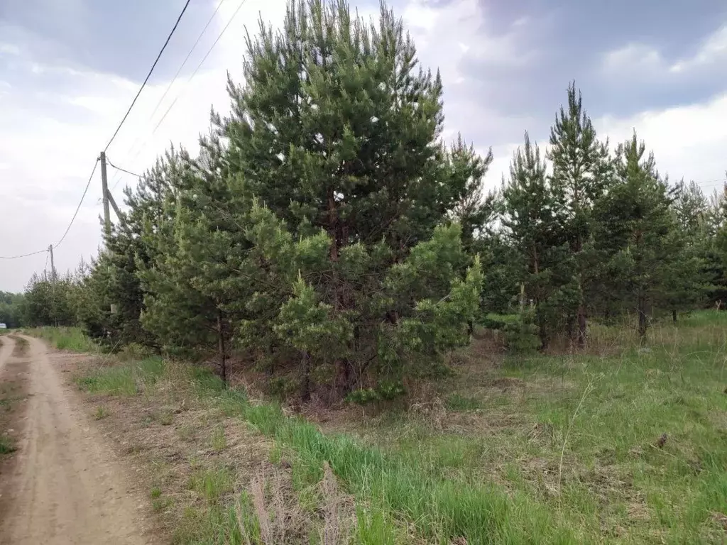 Участок в Челябинская область, Красноармейский муниципальный округ, ... - Фото 1