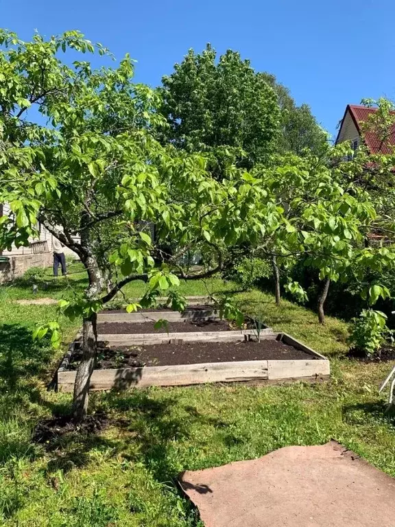 Дом в Санкт-Петербург Горелово тер., ул. Красная, 34 (56 м) - Фото 1