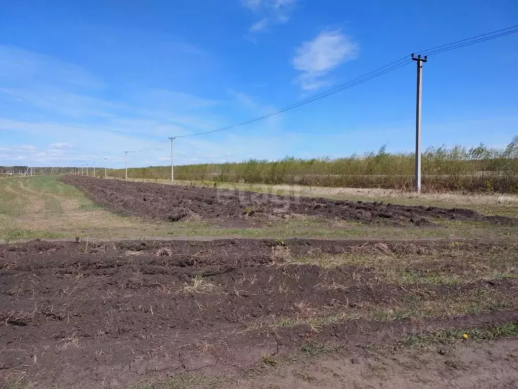 Участок в Тюменская область, Тюменский муниципальный округ, с. Кулига, ... - Фото 1