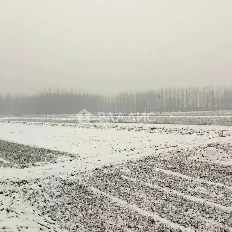 Участок в Ивановская область, Приволжский район, Плесское городское ... - Фото 1