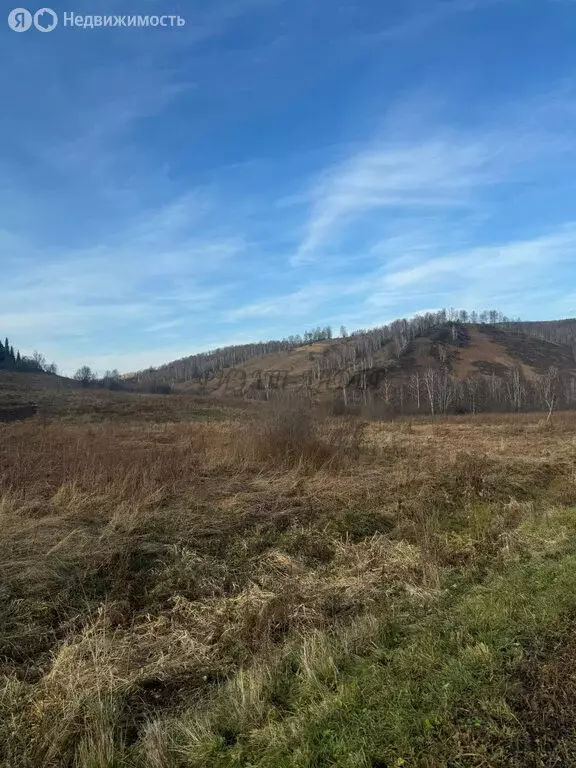 Участок в Чойский район, село Сугул (20 м) - Фото 0