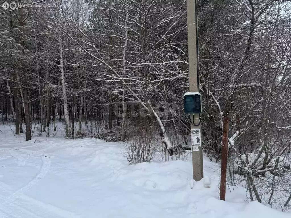 Участок в Воронеж, СНТ Большая Семья (15.4 м) - Фото 1