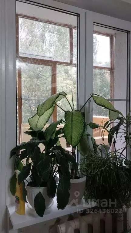 1-к кв. Тверская область, Конаково ул. Энергетиков, 9 (31.0 м) - Фото 2