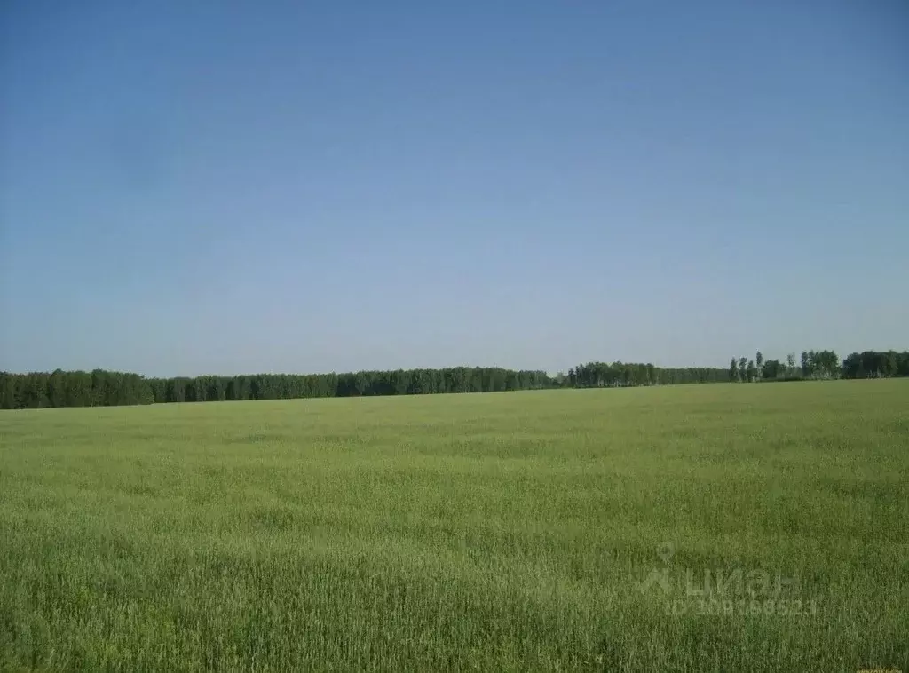 Участок в Ростовская область, Родионово-Несветайский район, ... - Фото 1