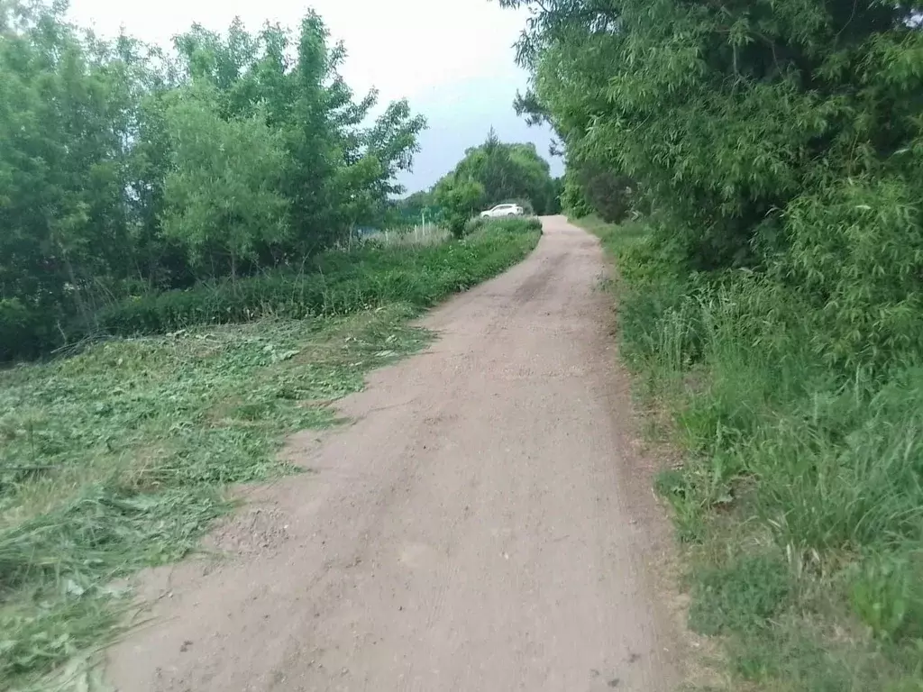 Участок в Калужская область, Боровский район, Кривское с/пос, д. ... - Фото 1