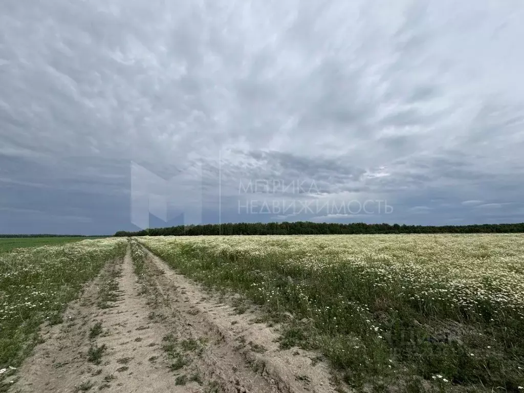 Участок в Тюменская область, Тюменский муниципальный округ, с. ... - Фото 2