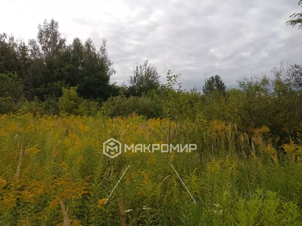 Участок в Орловская область, Орловский район, д. Верхняя Калиновка ул. ... - Фото 1