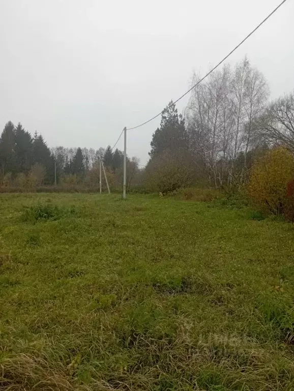 Участок в Калининградская область, Гурьевский муниципальный округ, ... - Фото 1