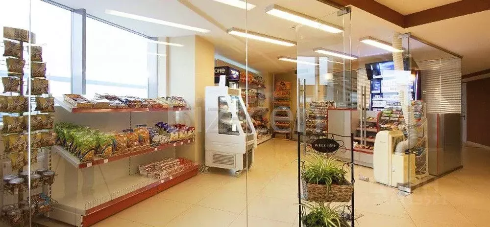 Офис в Московская область, Химки городской округ, д. Дубровки ул. ... - Фото 2