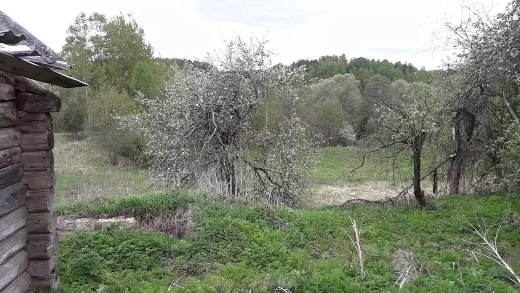 Участок в Калужская область, Мещовский муниципальный округ, с. ... - Фото 1
