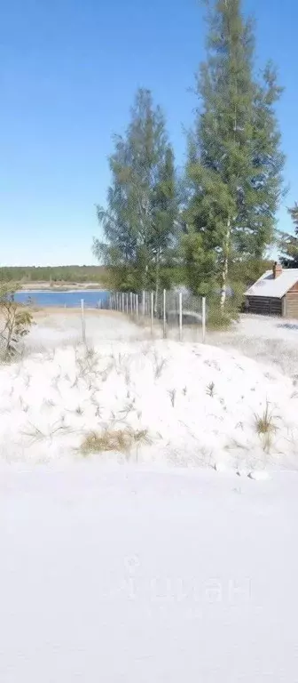 Участок в Новгородская область, Чудовский район, Трегубовское с/пос, ... - Фото 1