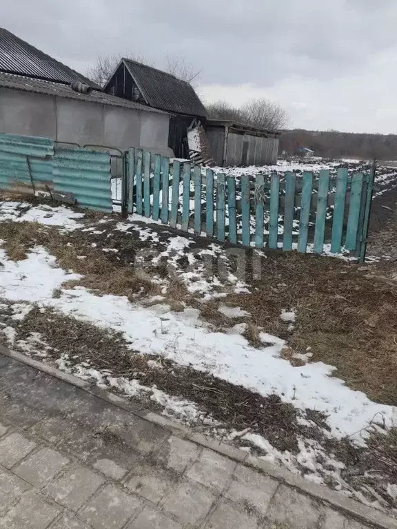 Участок в Белгородская область, Корочанский муниципальный округ, с. ... - Фото 1
