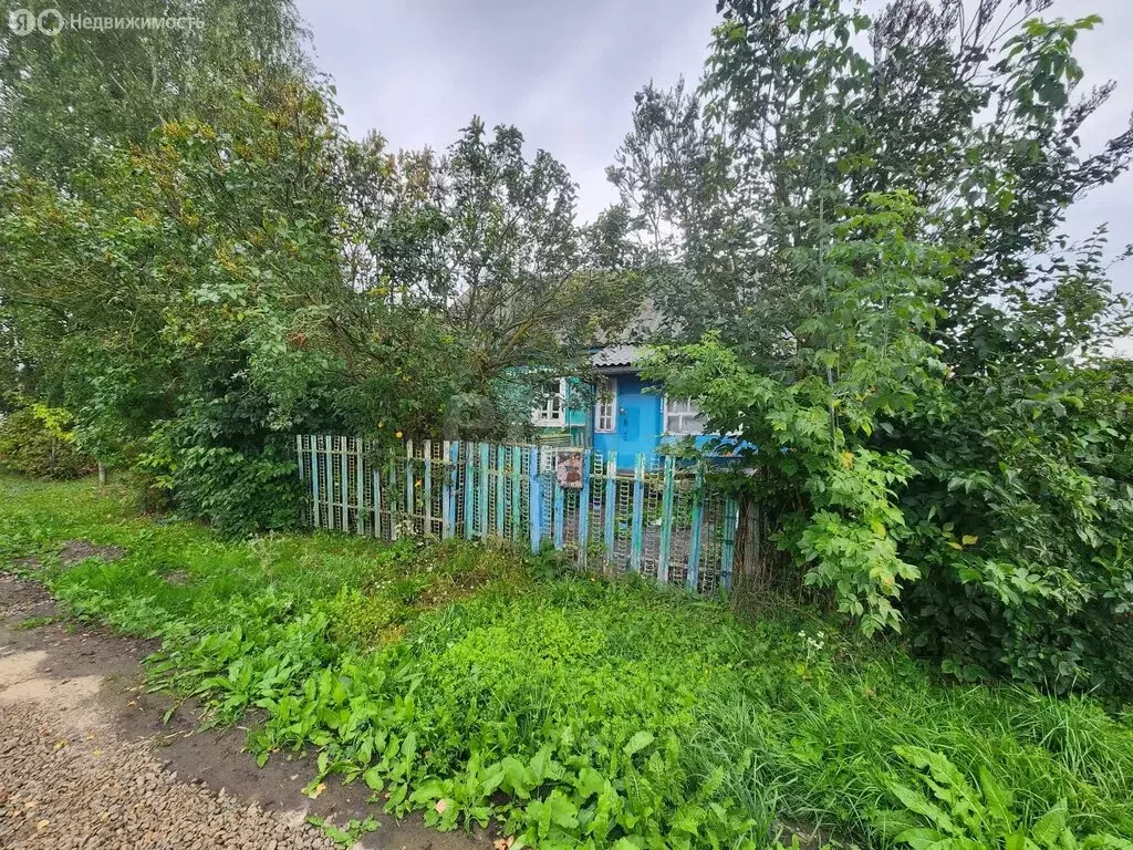 Дом в село Городец, Советская улица (41 м) - Фото 1