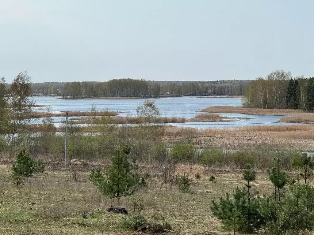 Участок в Костромская область, Красносельский муниципальный округ, ... - Фото 1