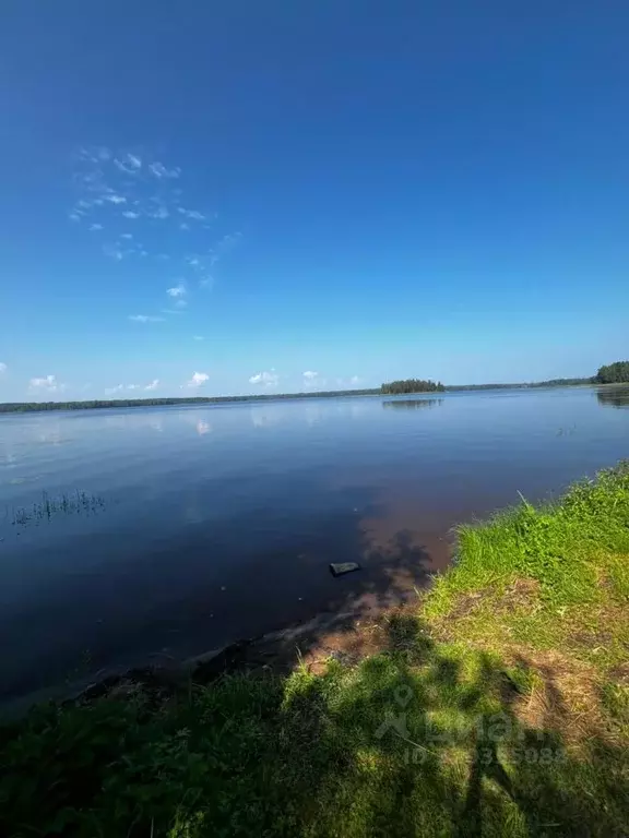 Дом в Новгородская область, Окуловский район, Березовикское с/пос  (80 ... - Фото 0