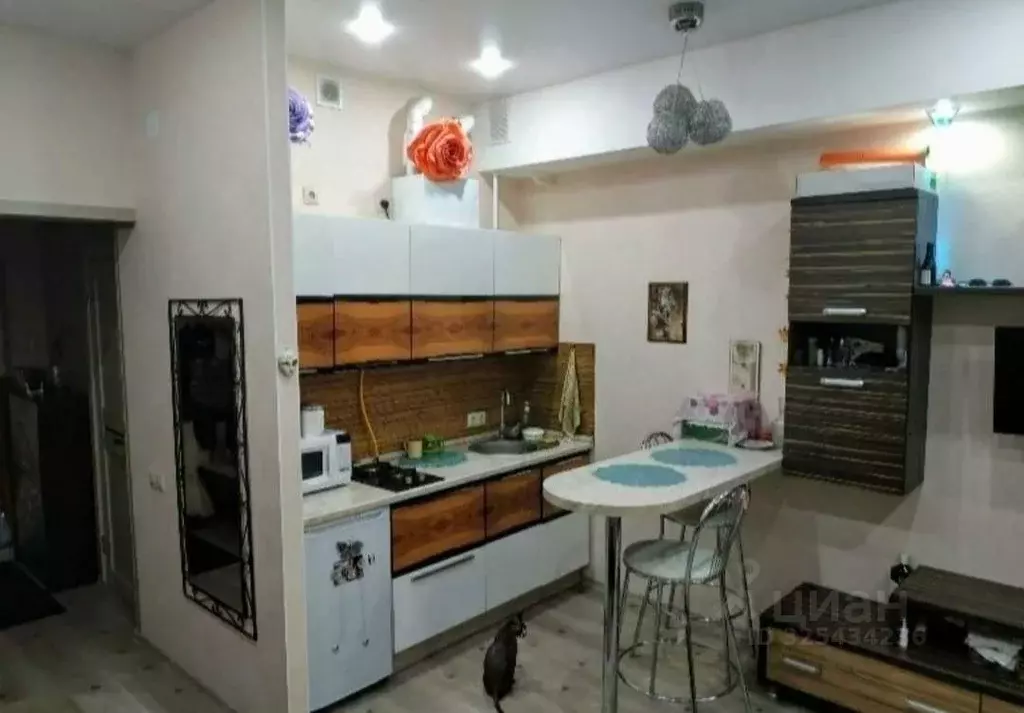 Студия Краснодарский край, Сочи Каспийская ул., 8/1 (34.4 м) - Фото 2