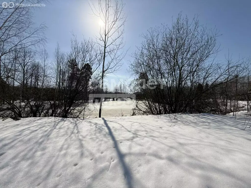 Участок в Медведевский район, Знаменское сельское поселение, деревня ... - Фото 2