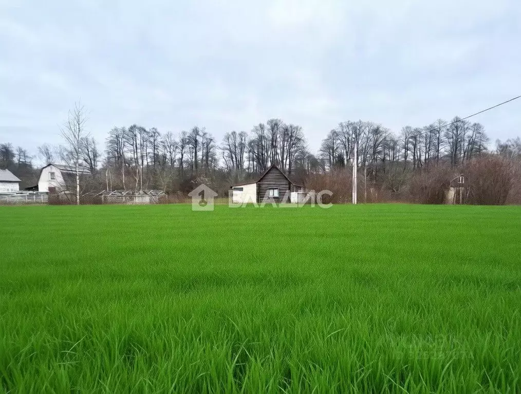 Участок в Калининградская область, Светловский городской округ, пос. ... - Фото 2