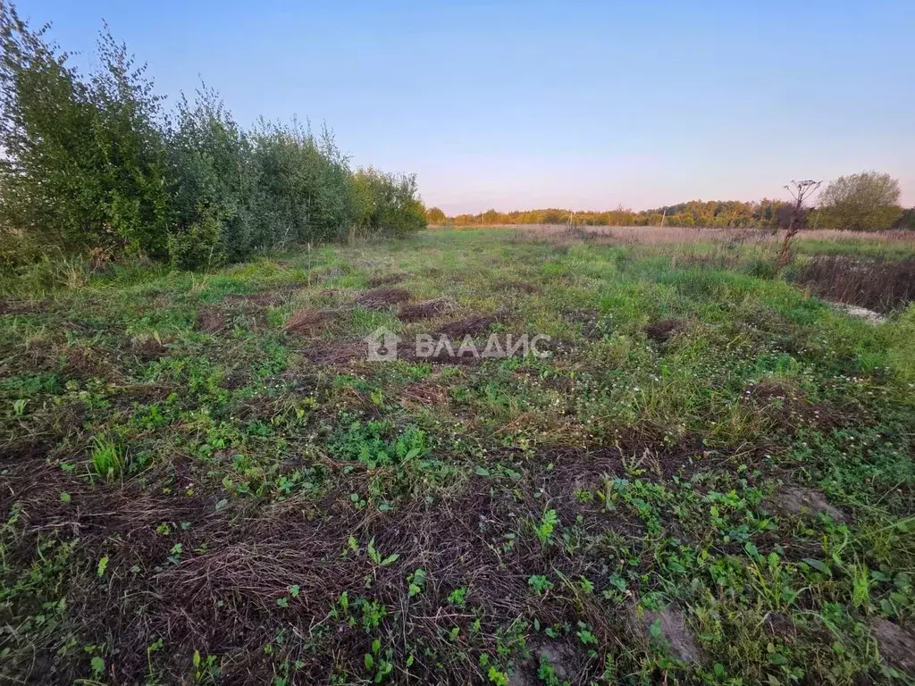 Участок в Владимирская область, Собинский муниципальный округ, с. ... - Фото 1