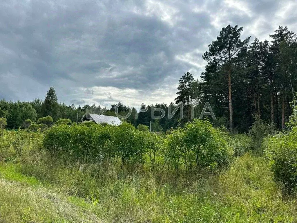 Участок в Тюменская область, Тюменский район, д. Ушакова Зеленая ул. ... - Фото 1