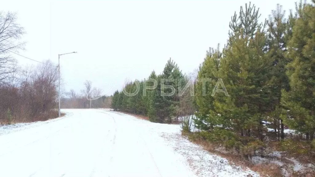 Участок в Тюменская область, Тюменский муниципальный округ, с. ... - Фото 2