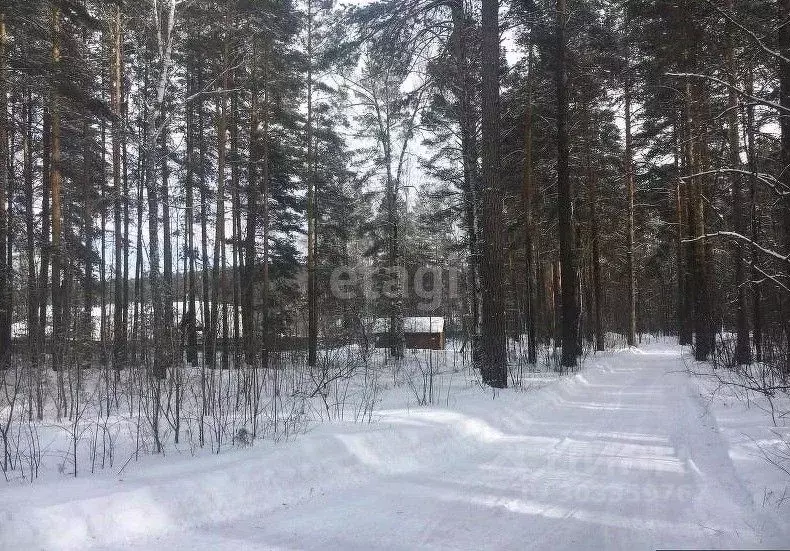 Участок в Свердловская область, Верхняя Пышма городской округ, пос. ... - Фото 0