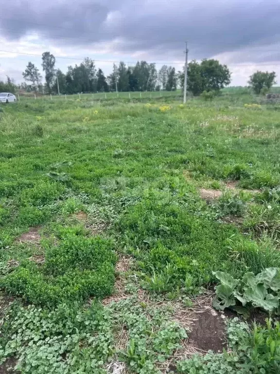 Участок в Татарстан, Тукаевский район, Нижнесуыксинское с/пос, с. ... - Фото 0