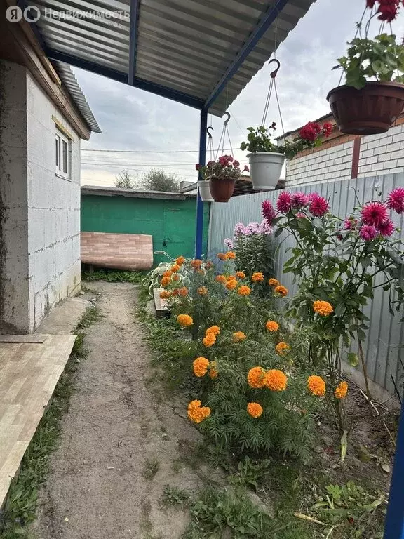 1-комнатная квартира: Чебоксары, улица Бродского, 13 (40 м) - Фото 1