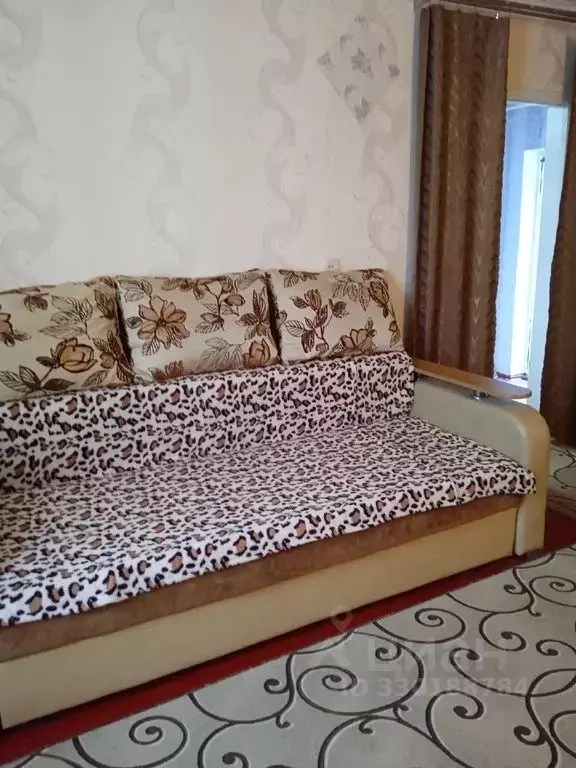Дом в Воронежская область, Павловск ул. Зои Космодемьянской, 34 (60 м) - Фото 2