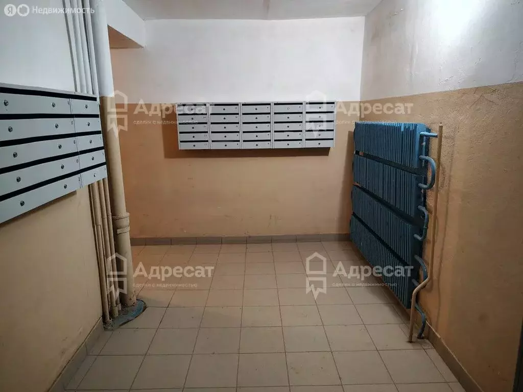 3-комнатная квартира: Волгоград, Родниковая улица, 16 (72.1 м) - Фото 1