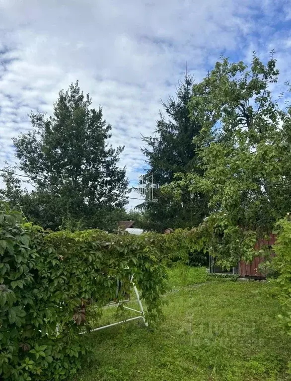 Дом в Ленинградская область, Лужский район, Мшинское с/пос, Мшинская ... - Фото 1