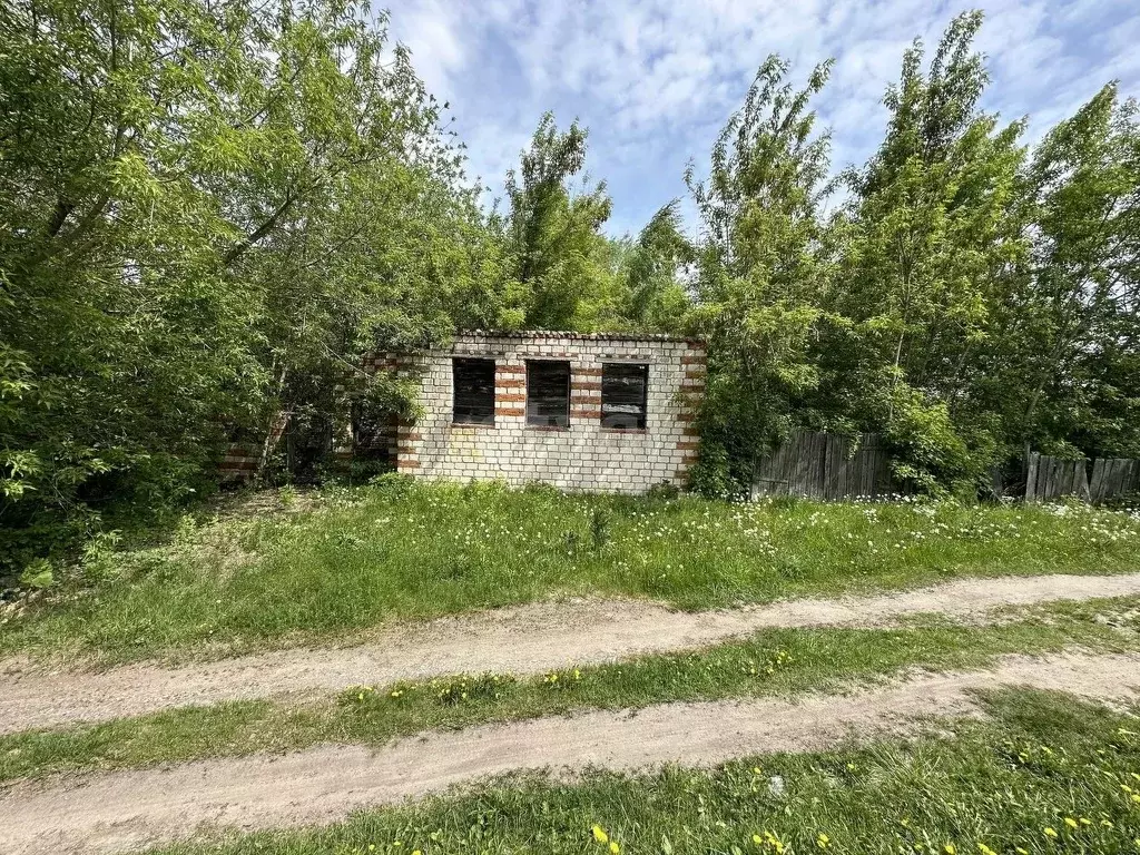 Участок в Владимирская область, Муром с. Дмитриевская Слобода, ул. ... - Фото 1