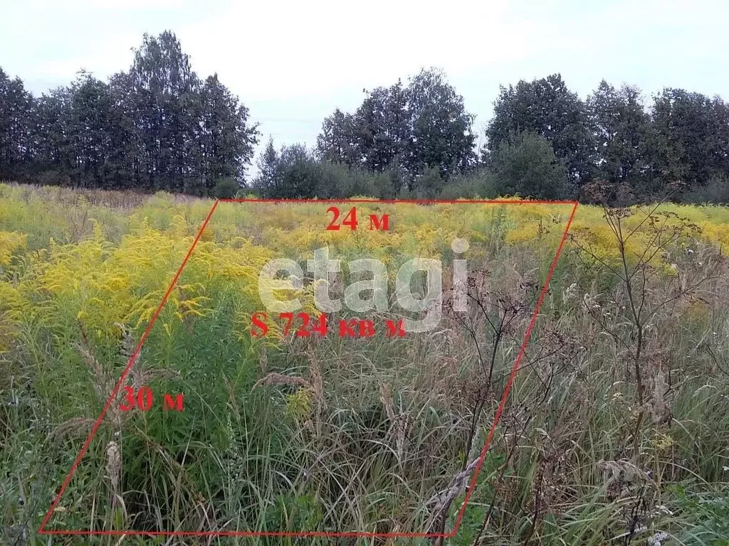 Участок в Брянская область, Брянский район, Новодарковичское с/пос, ... - Фото 1