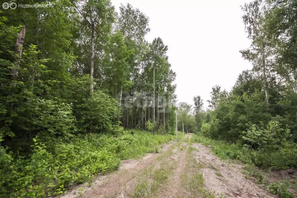 Участок в Морозовский сельсовет, дачное некоммерческое товарищество ... - Фото 1