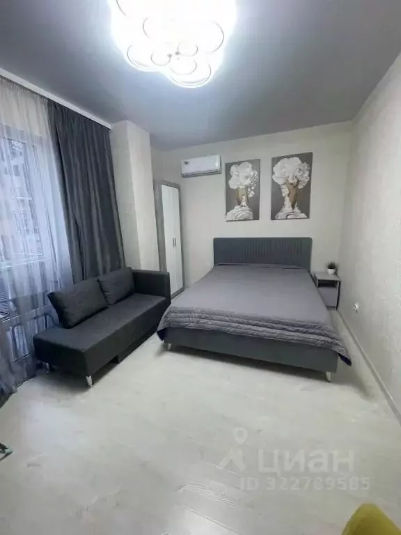 1-к кв. Краснодарский край, Сочи ул. Ленина, 219/5Б (51.0 м) - Фото 1