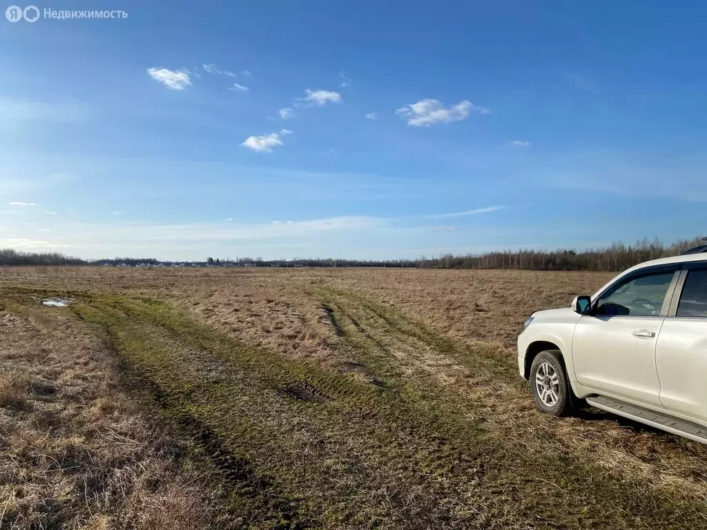 Участок в деревня Ваулино, Киршинская улица (350 м) - Фото 2