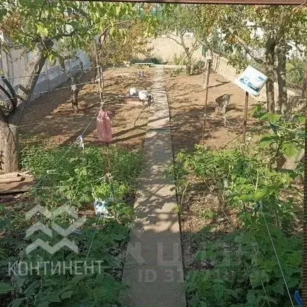 Дом в Крым, Сакский район, Новофедоровка пгт ул. Ореховая (65 м) - Фото 1
